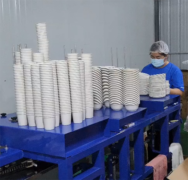 可降解餐具